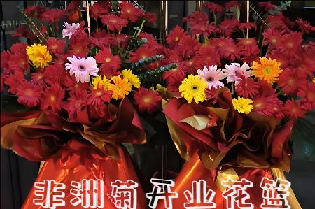 焦作武陟县开业花篮